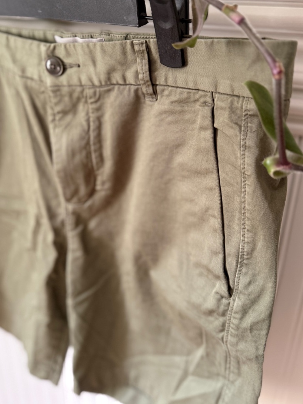 Everlane Men's Cotton Casual Shorts - 31 waist (OLIVE)